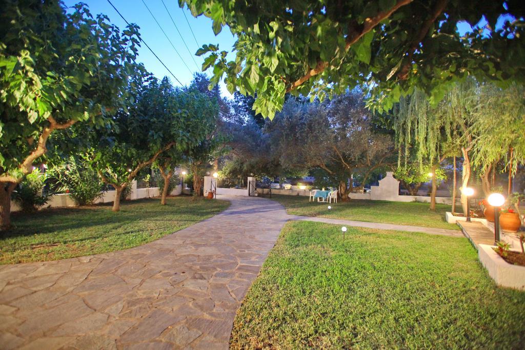 Korali Stafilos ستافيلوس المظهر الخارجي الصورة
